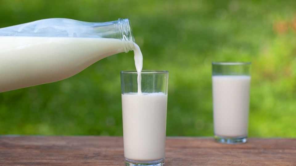 Novo Toddynho Levinho Sempre achei essas bebidas lácteas melhores que os de  preparo em pó E esse ganhou meu paladar, realmente ele não…