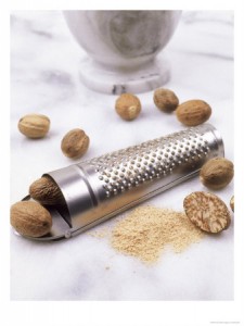 nut021 nut021