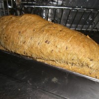 Pão de trigo integral