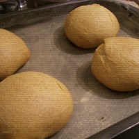Pão de hamburguer pronto